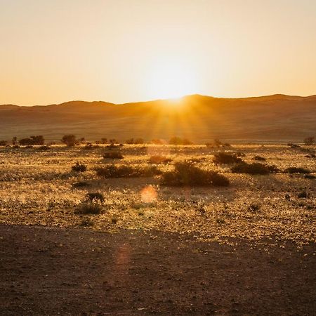 The Desert Grace Solitaire Exteriör bild