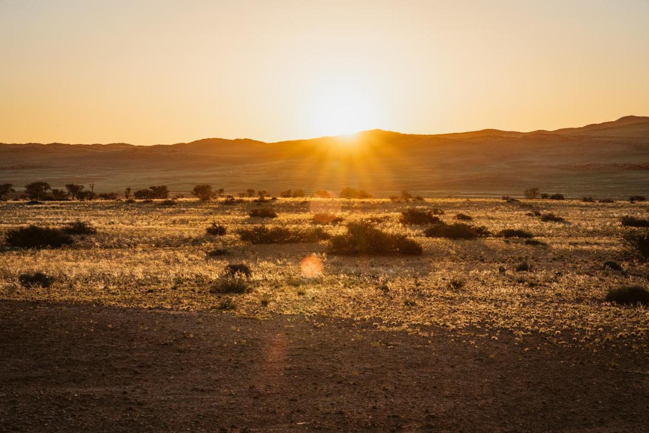 The Desert Grace Solitaire Exteriör bild